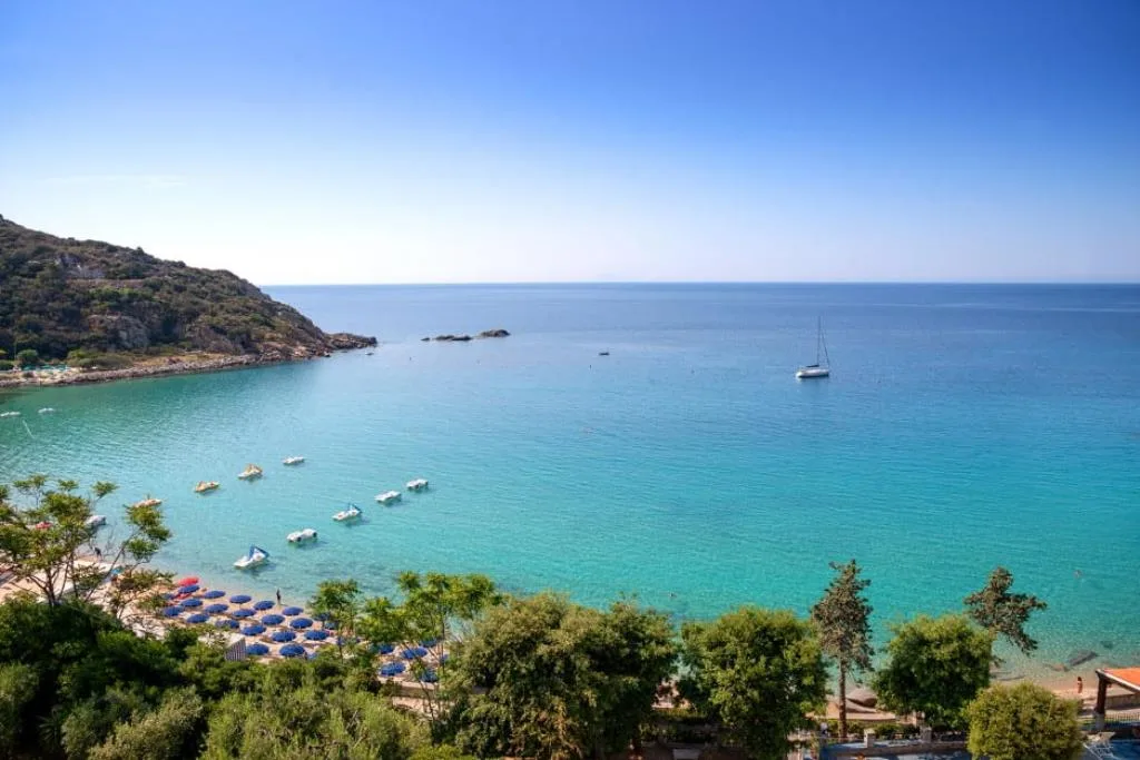 mare